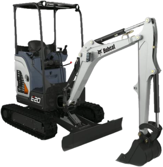 bobcat